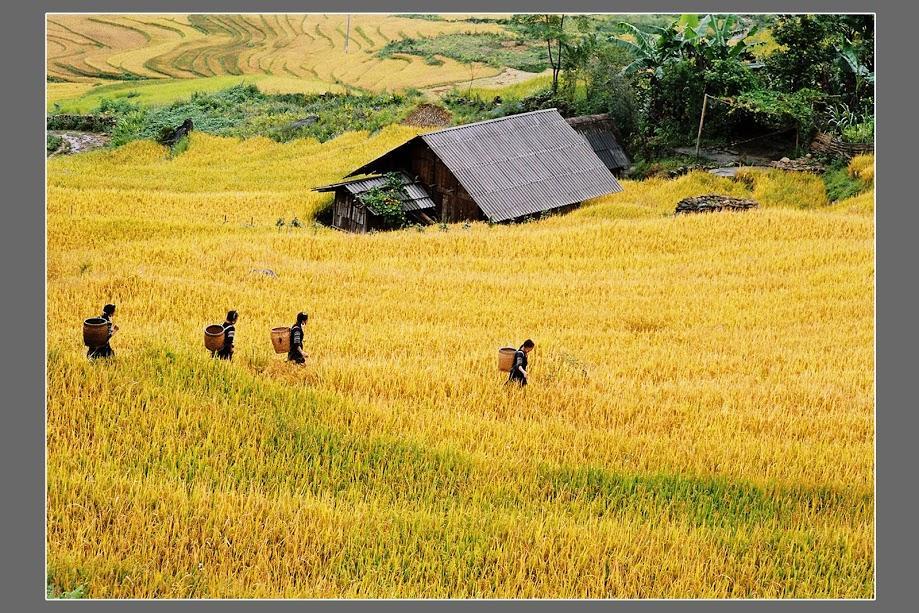 Hometravel Sapa Экстерьер фото