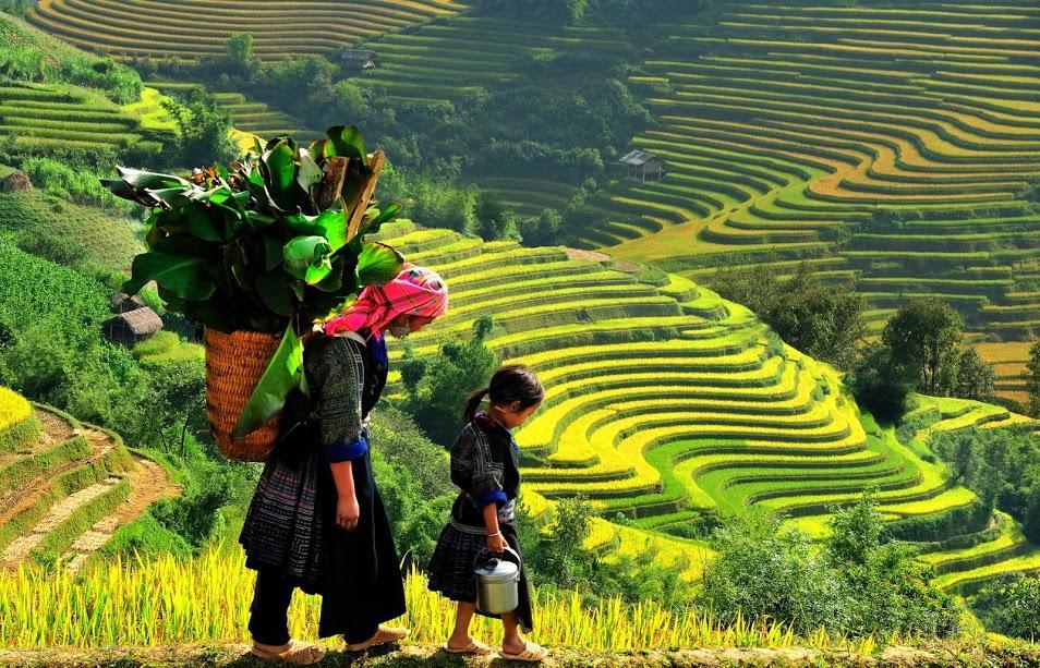 Hometravel Sapa Экстерьер фото